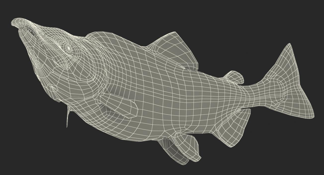 Pink Salmon Swiming Pose 3D model