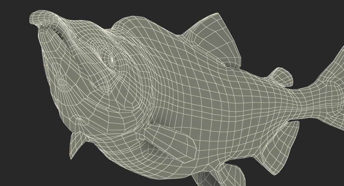 Pink Salmon Swiming Pose 3D model