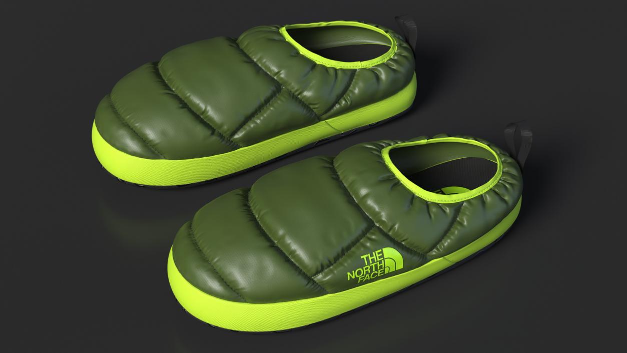 3D model Green North Face Down Slippers