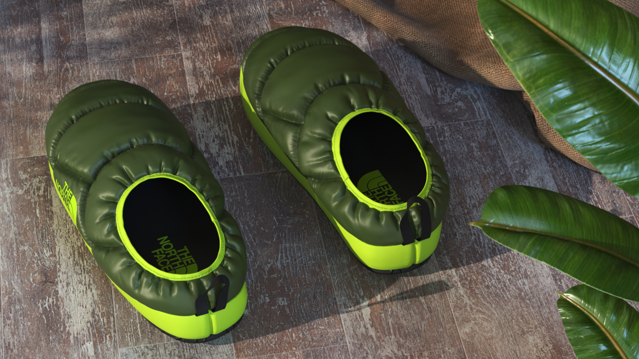 3D model Green North Face Down Slippers