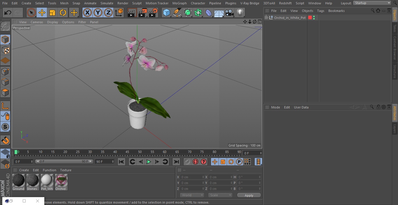 Orchid in White Pot 3D model