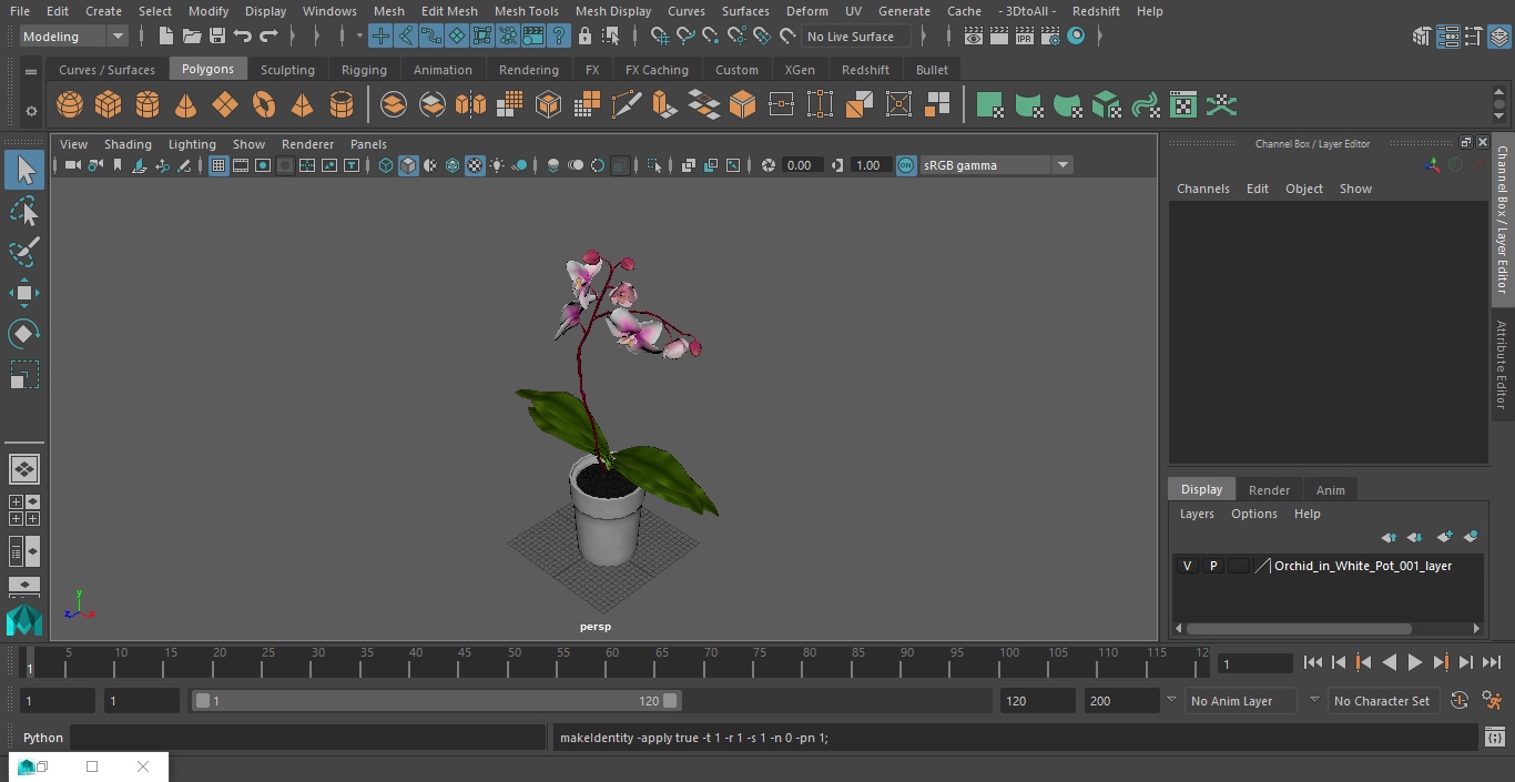 Orchid in White Pot 3D model