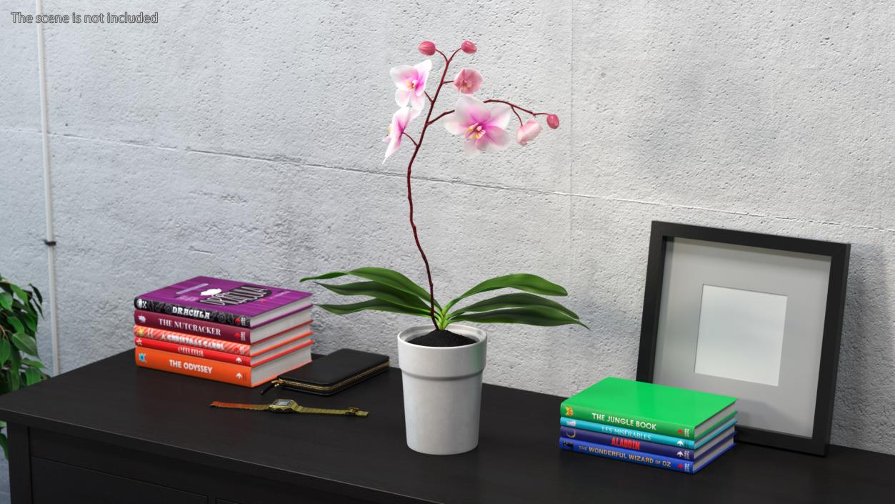 Orchid in White Pot 3D model