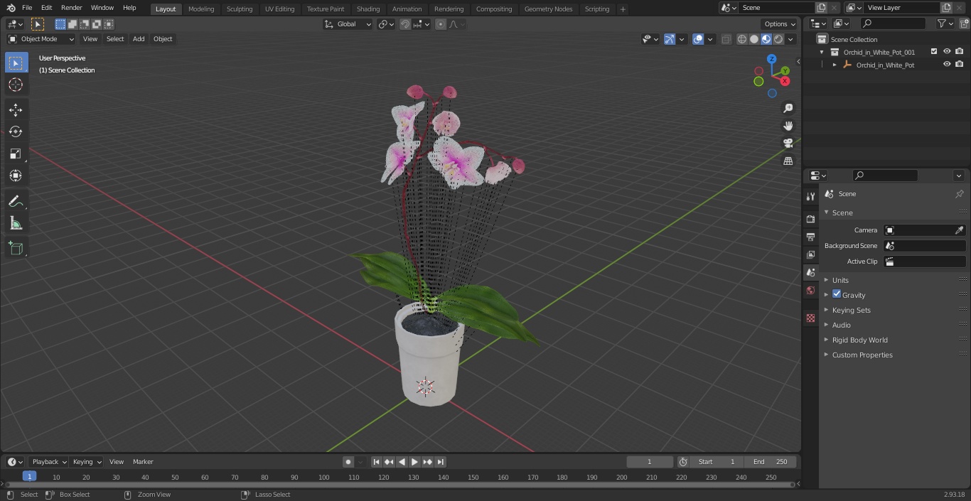 Orchid in White Pot 3D model