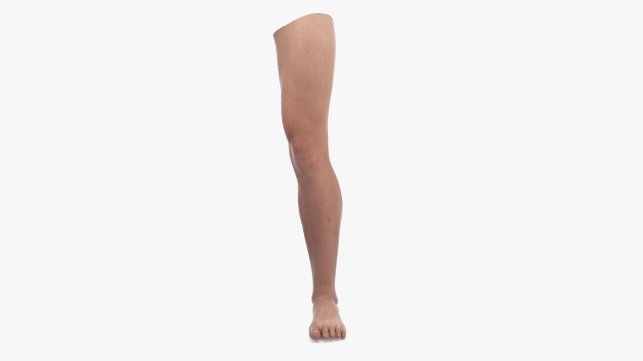 3D Athletic Male Arm and Leg Collection