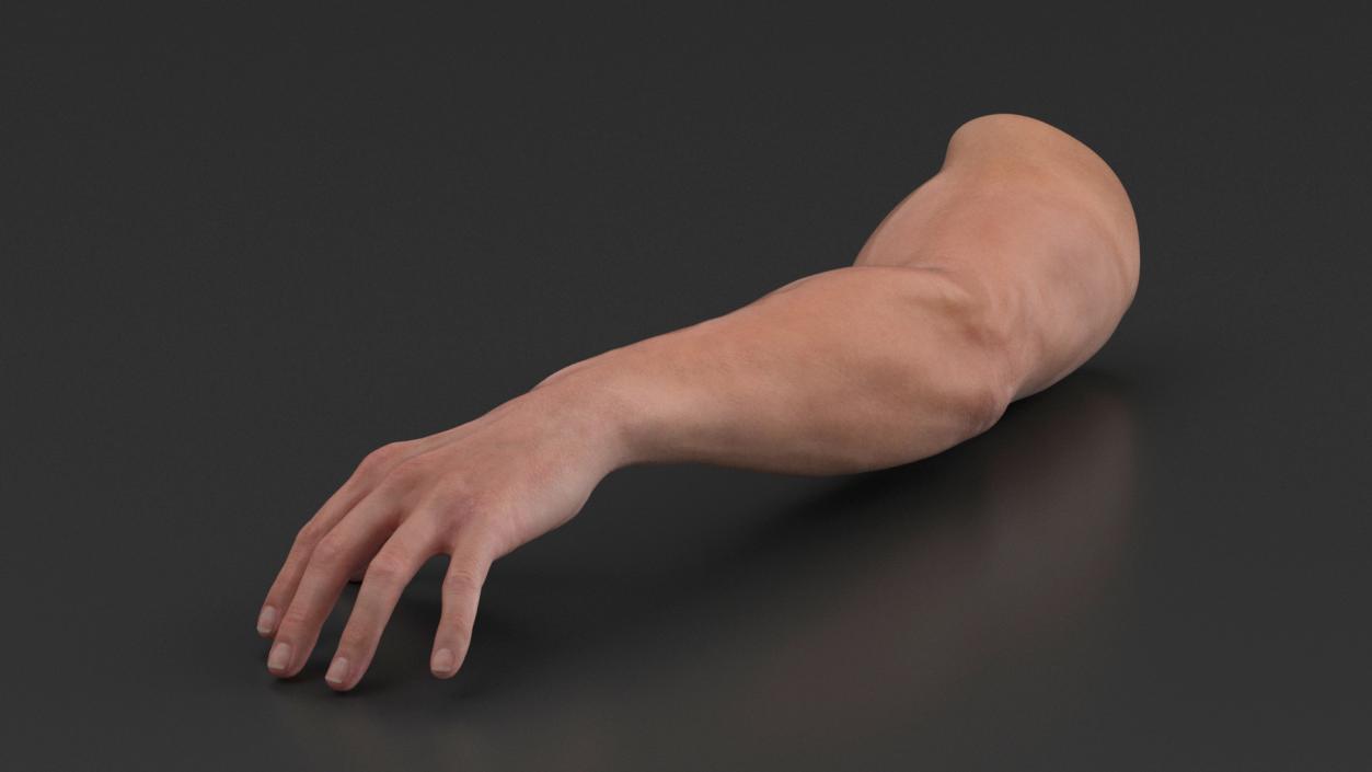 3D Athletic Male Arm and Leg Collection