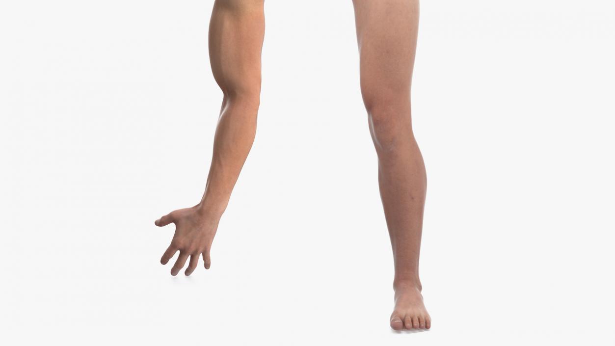 3D Athletic Male Arm and Leg Collection