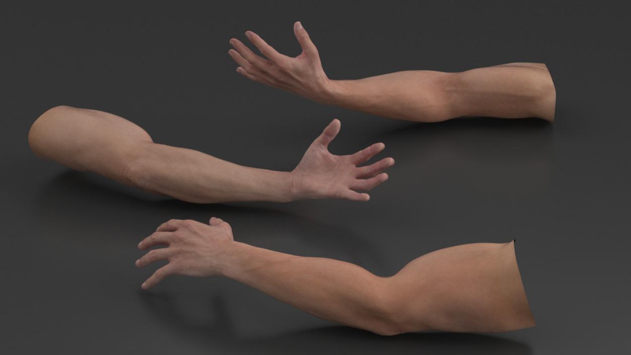 3D Athletic Male Arm and Leg Collection