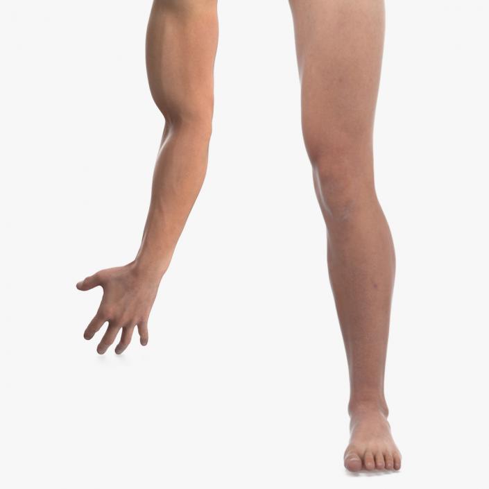 3D Athletic Male Arm and Leg Collection