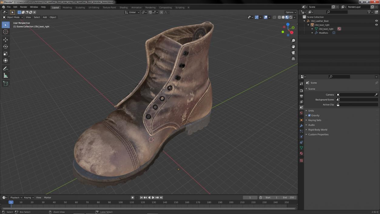 3D Old Leather Boot