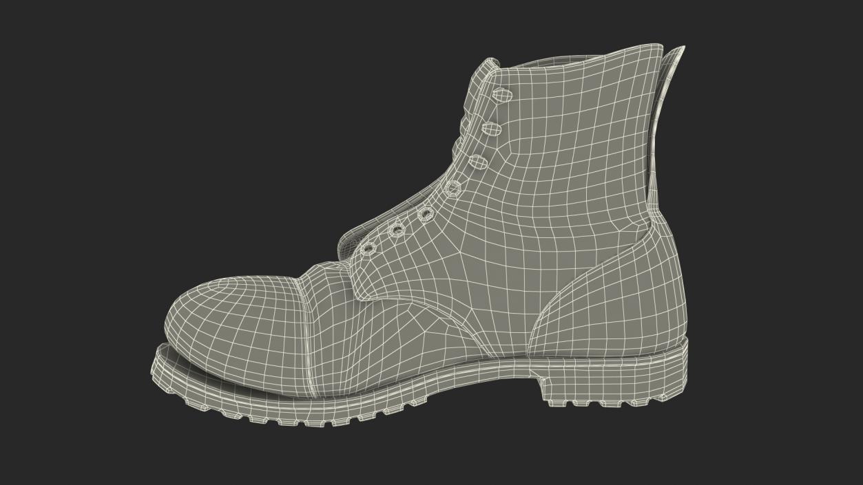 3D Old Leather Boot