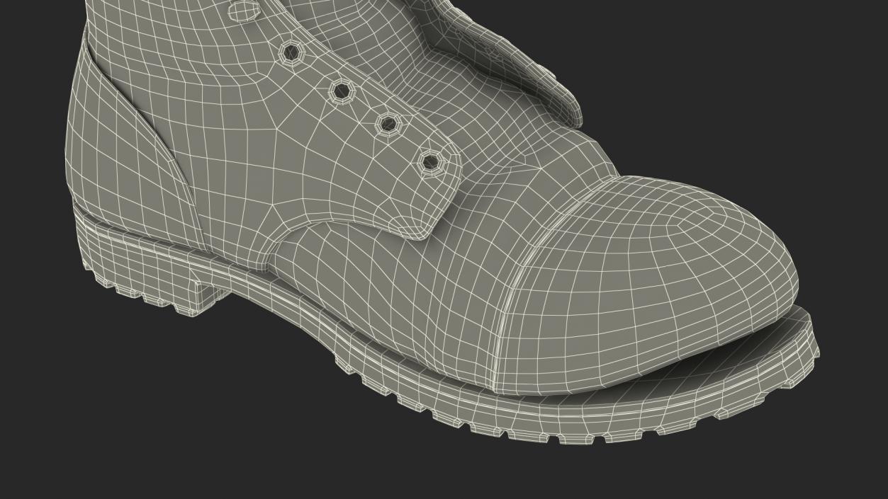 3D Old Leather Boot