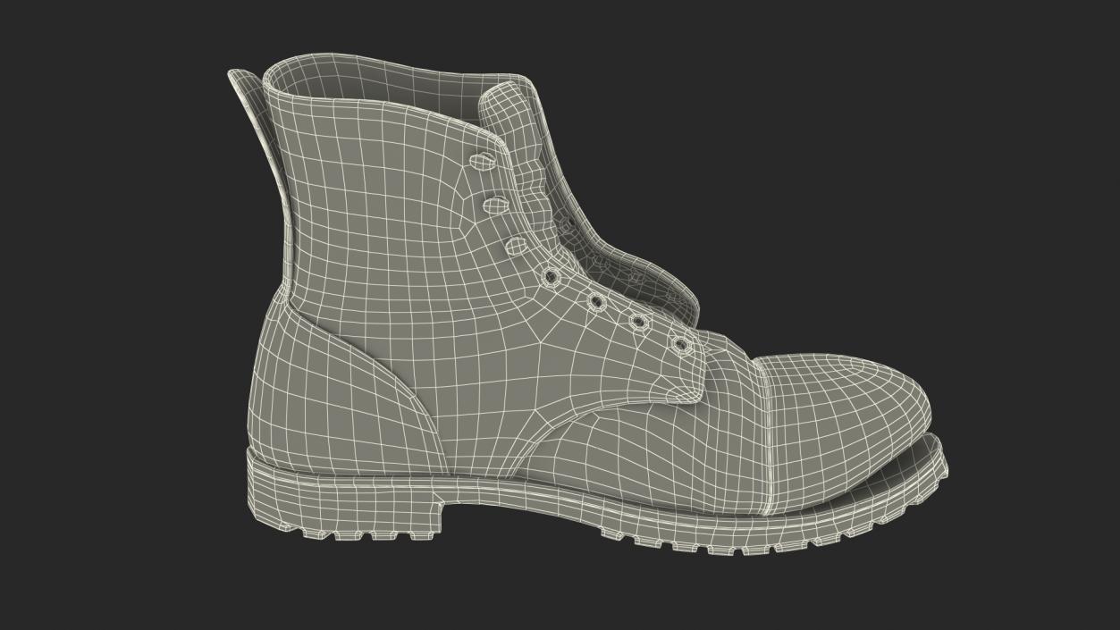 3D Old Leather Boot