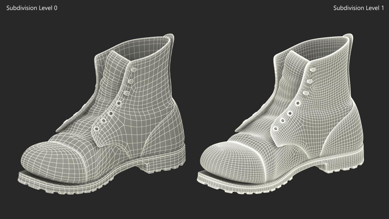 3D Old Leather Boot