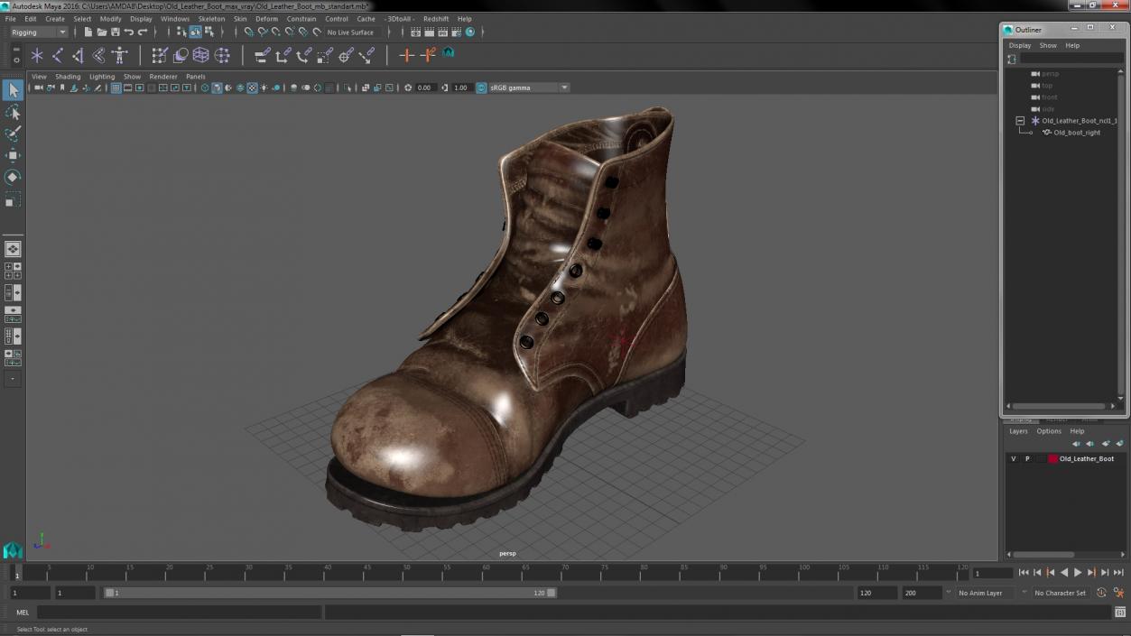 3D Old Leather Boot