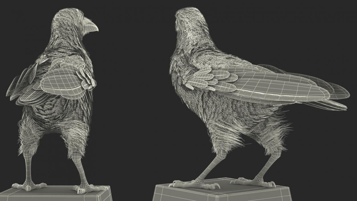 3D Raven on Halloween Tombstone model