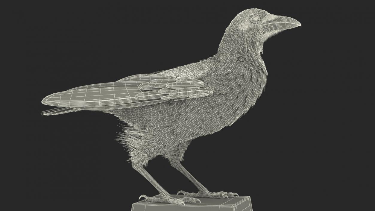 3D Raven on Halloween Tombstone model