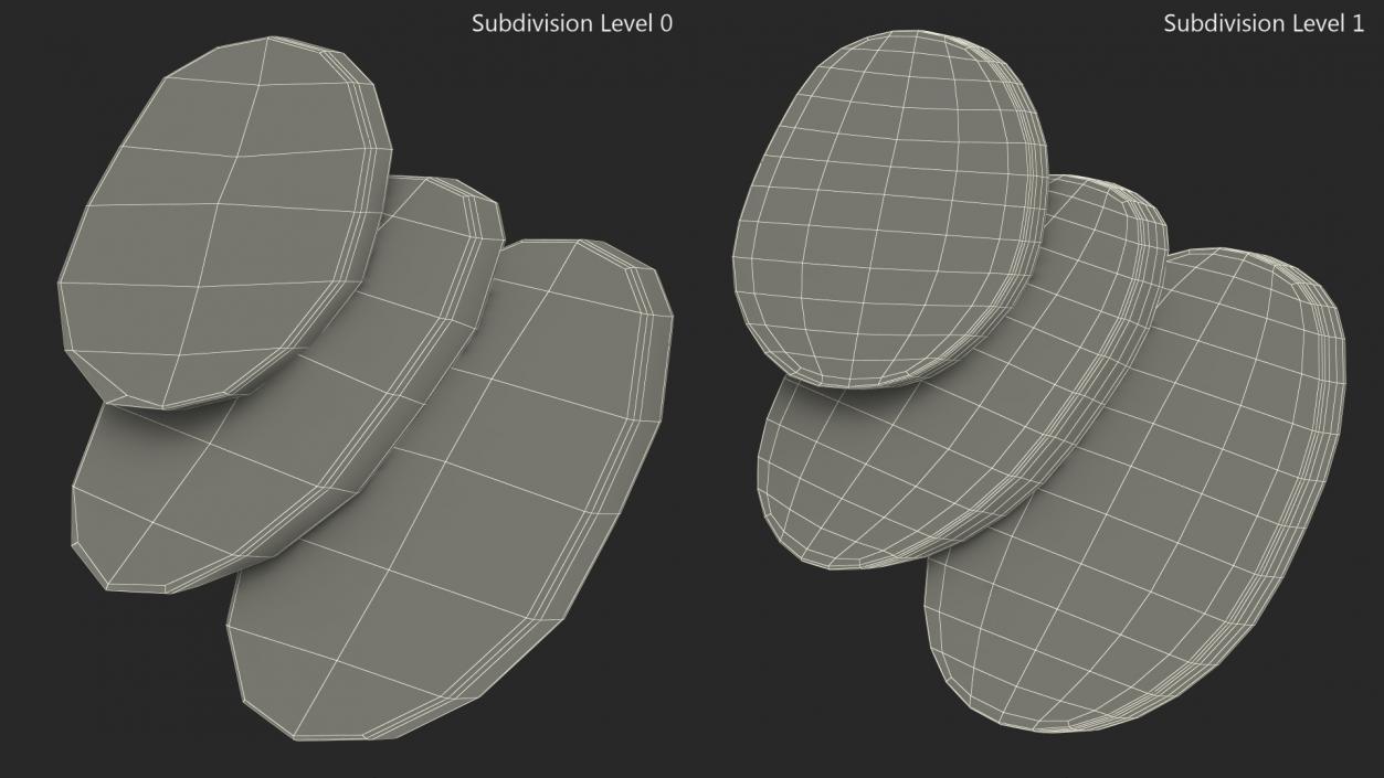 3D Salami Slices model