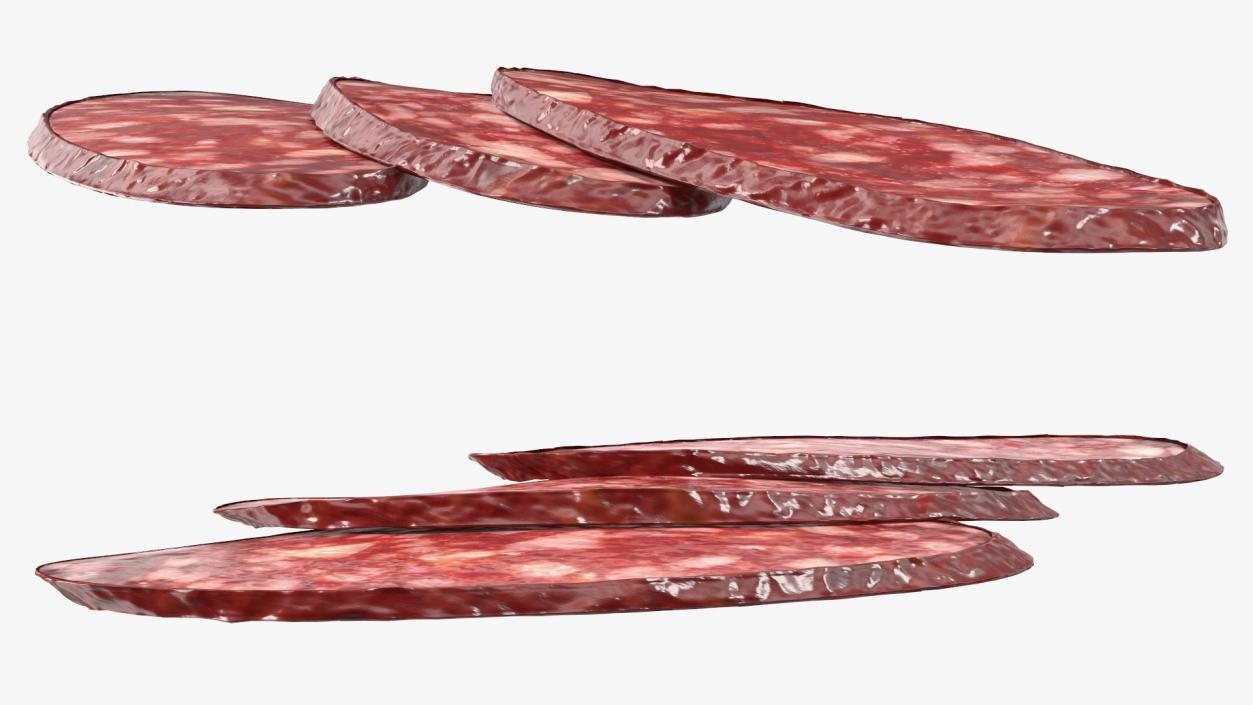 3D Salami Slices model