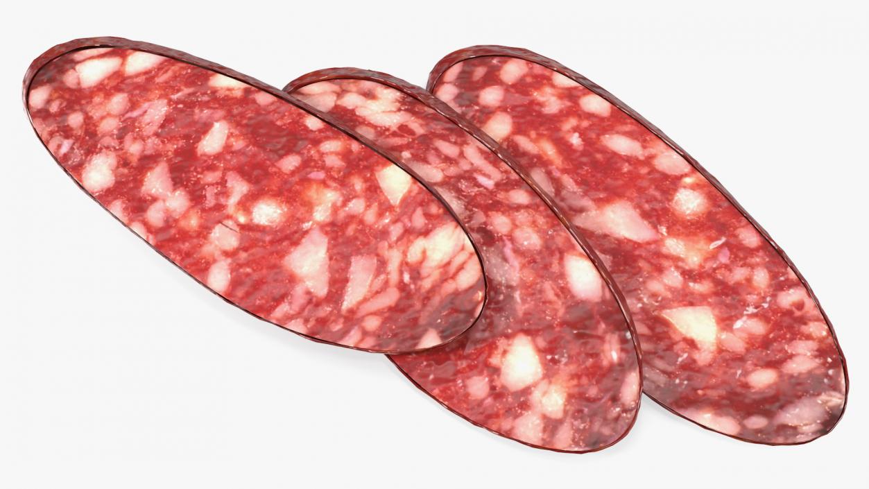 3D Salami Slices model