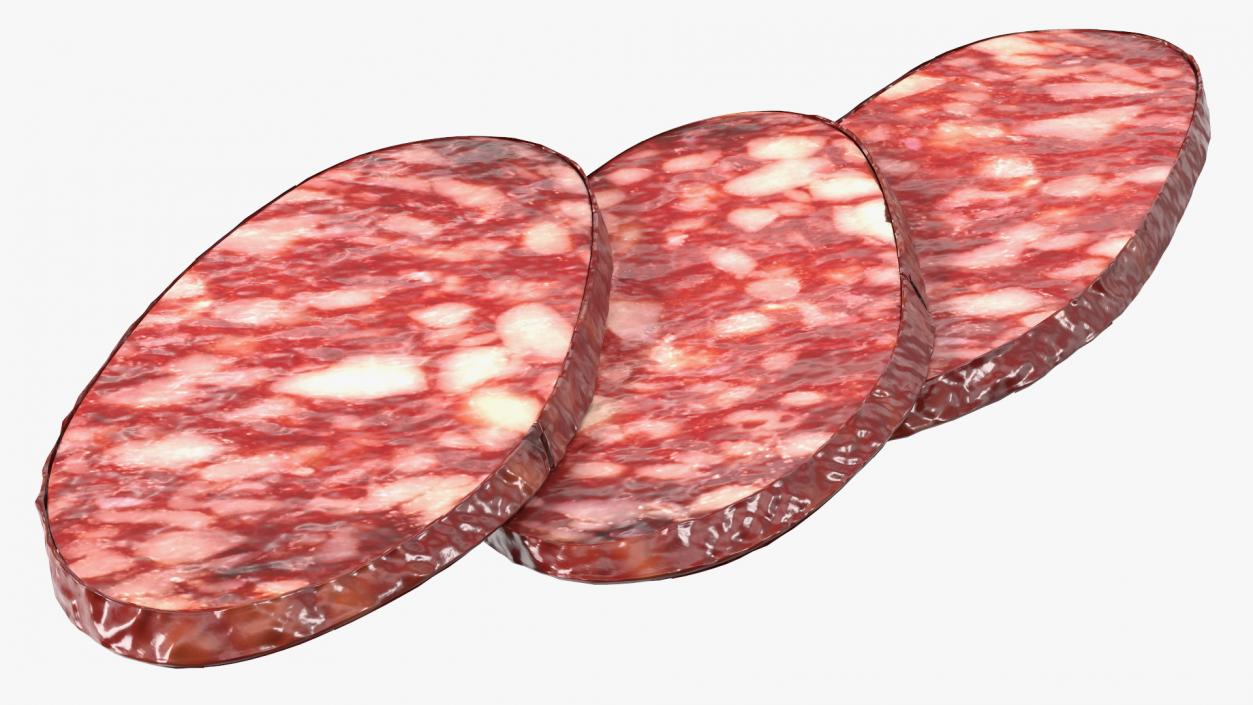 3D Salami Slices model