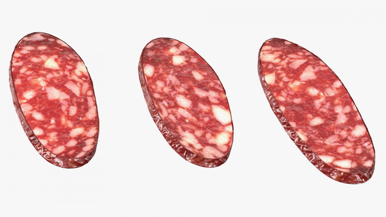 3D Salami Slices model