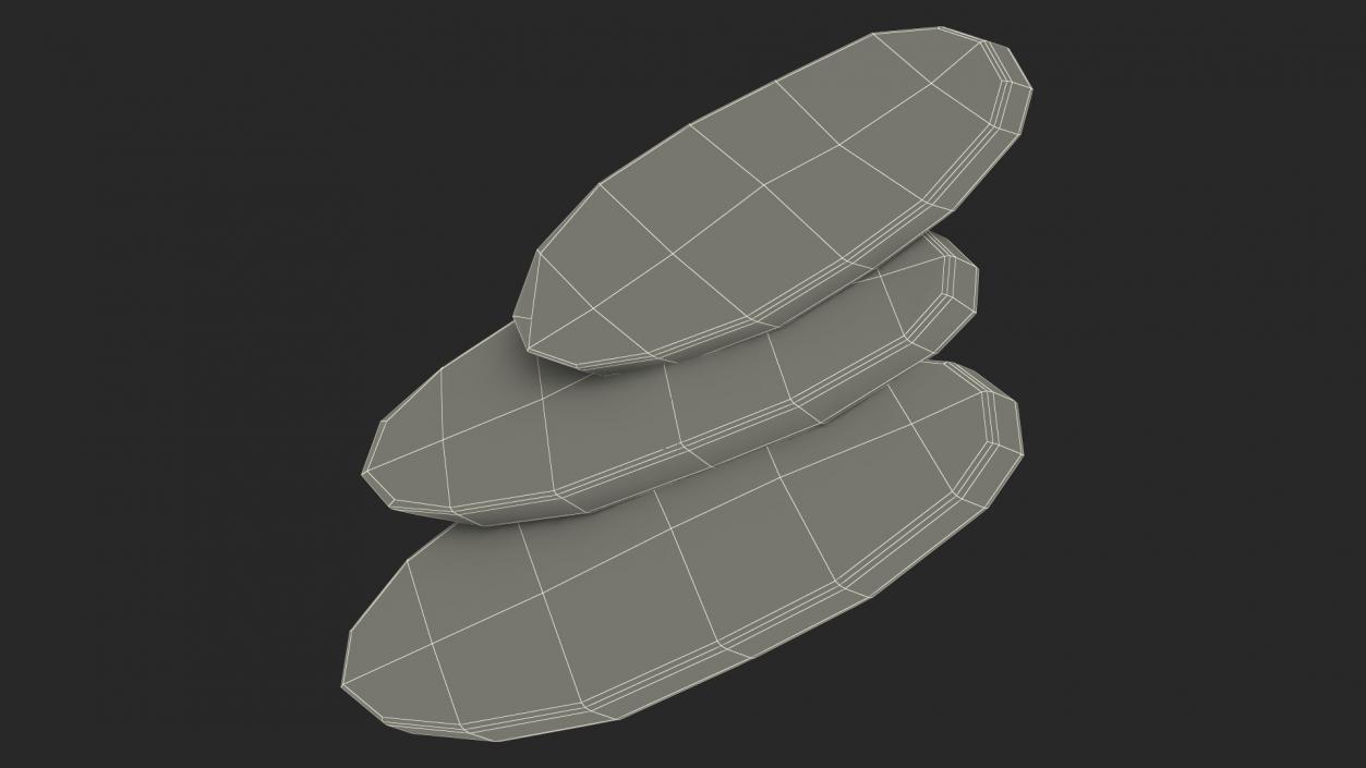 3D Salami Slices model