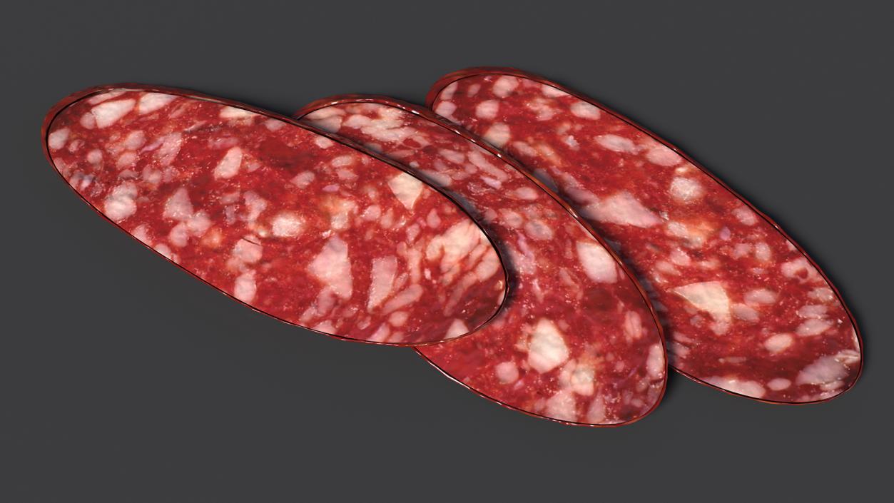 3D Salami Slices model