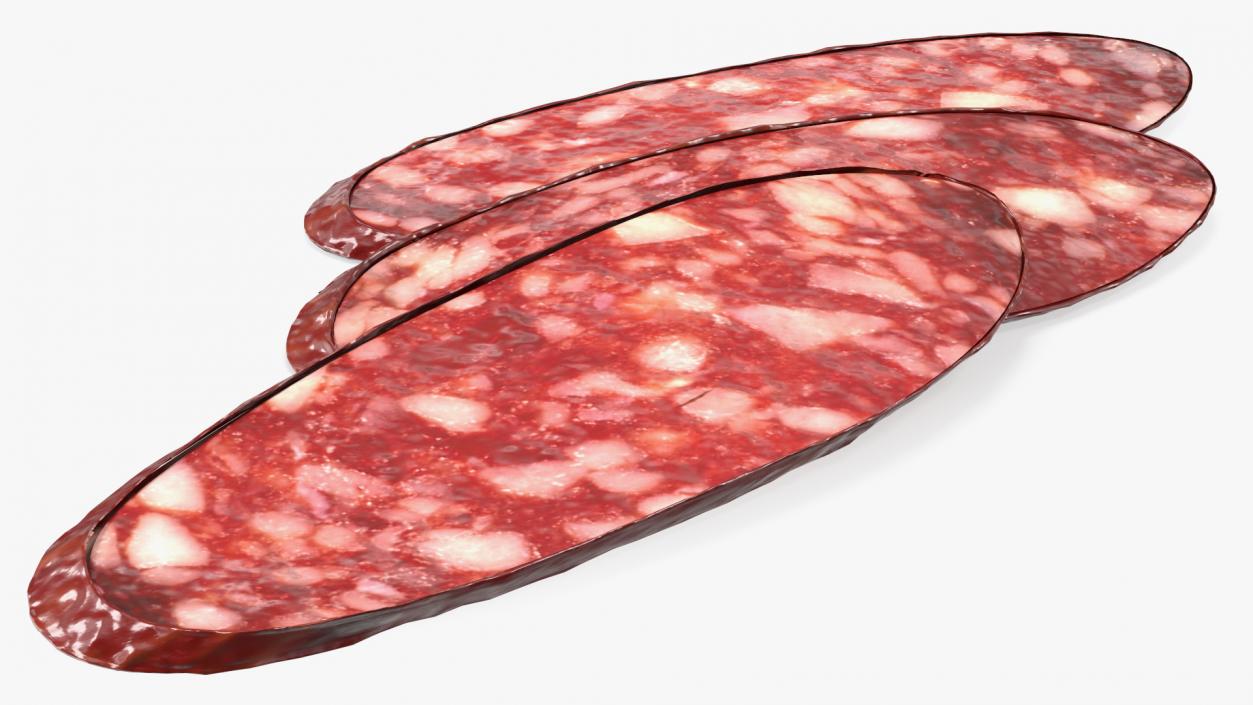 3D Salami Slices model