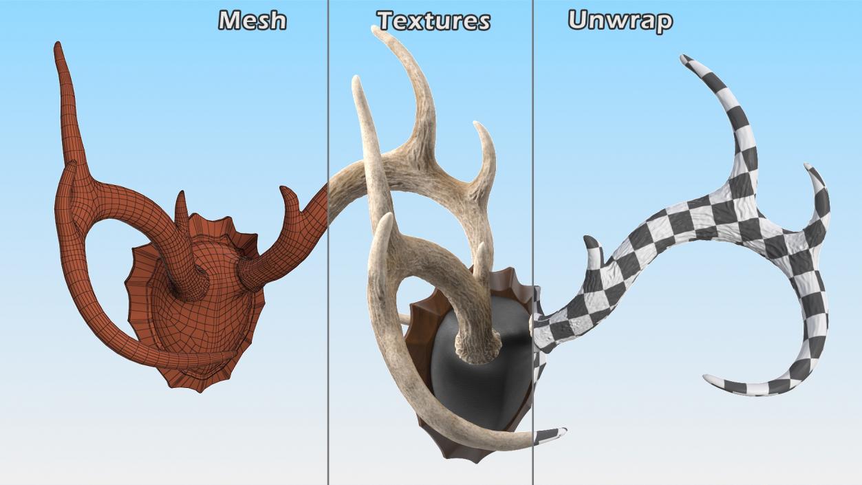 3D Deer Antlers on a Wall Mount model