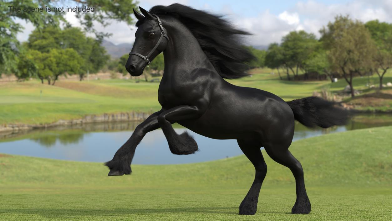 3D Running Friesian Horse Fur