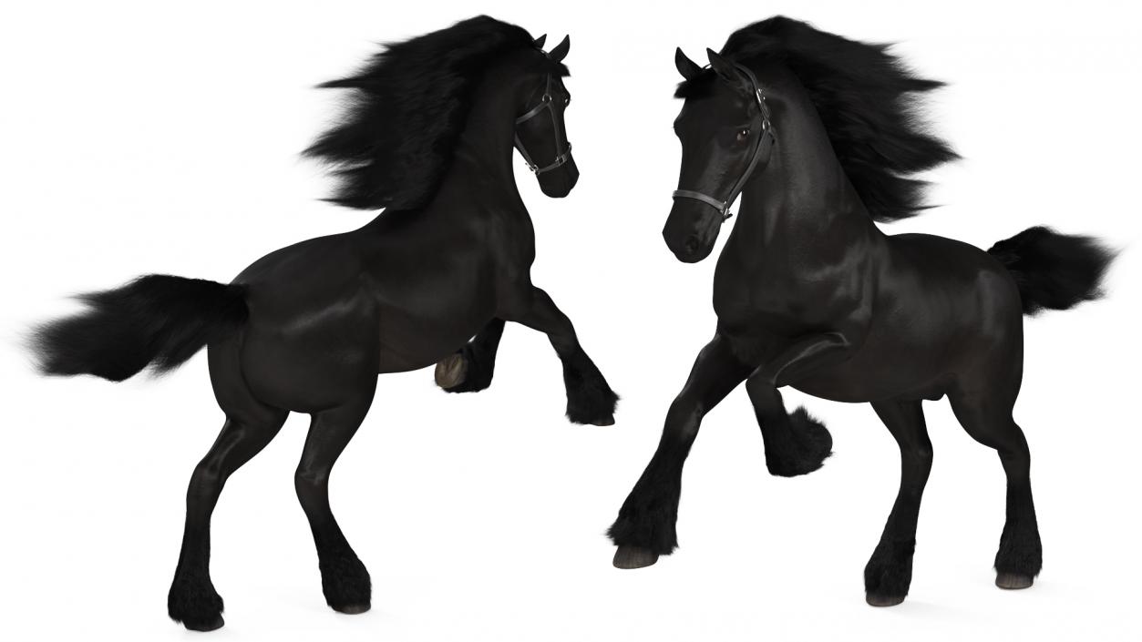 3D Running Friesian Horse Fur