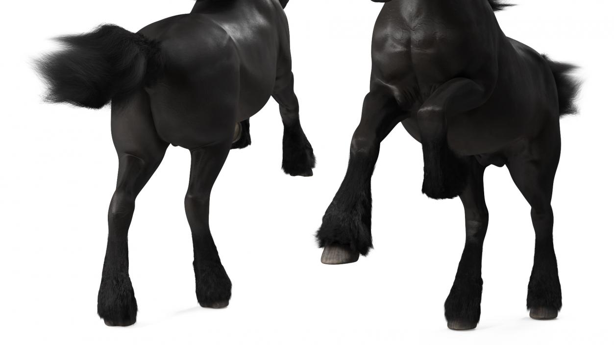 3D Running Friesian Horse Fur