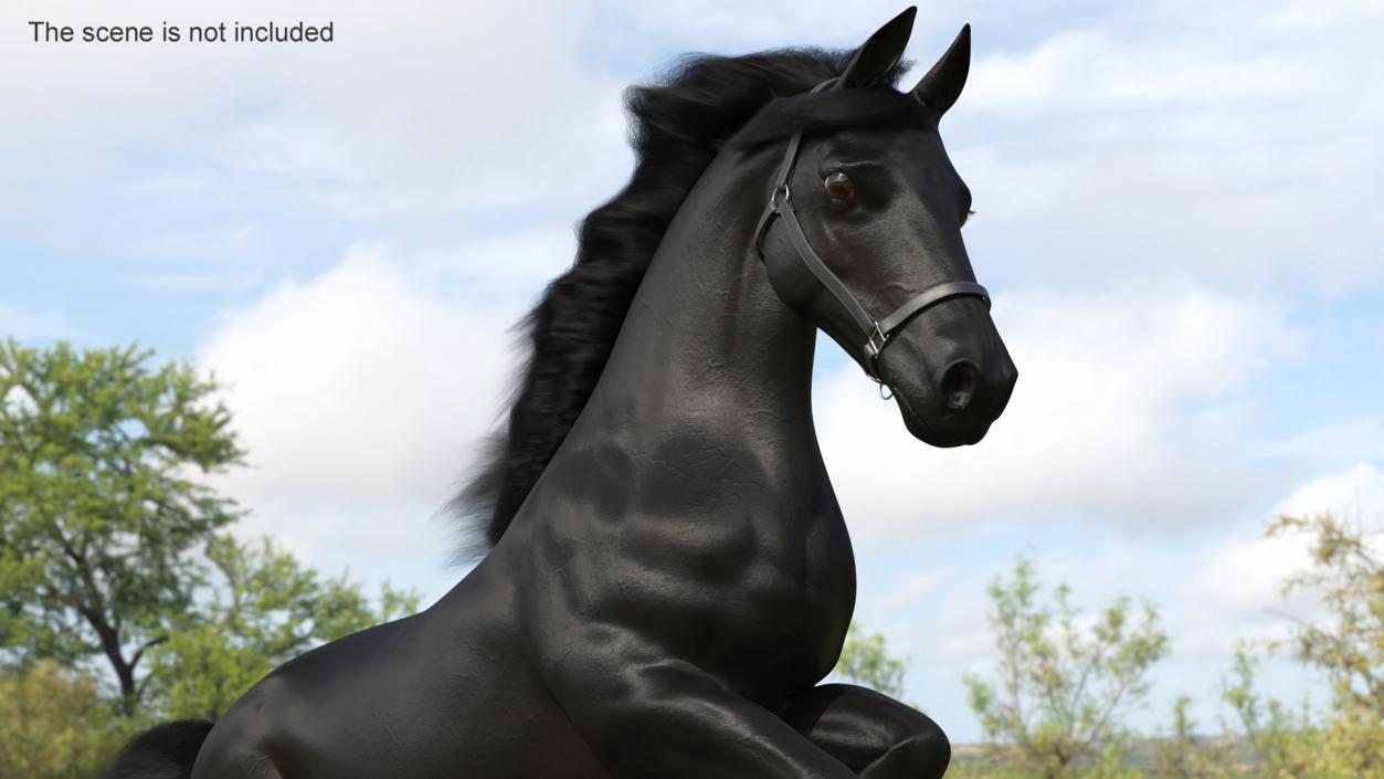 3D Running Friesian Horse Fur