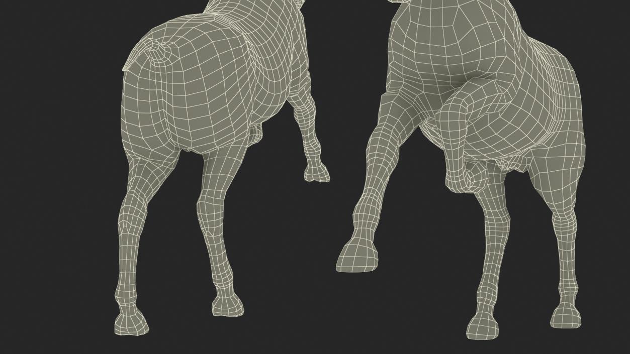 3D Running Friesian Horse Fur