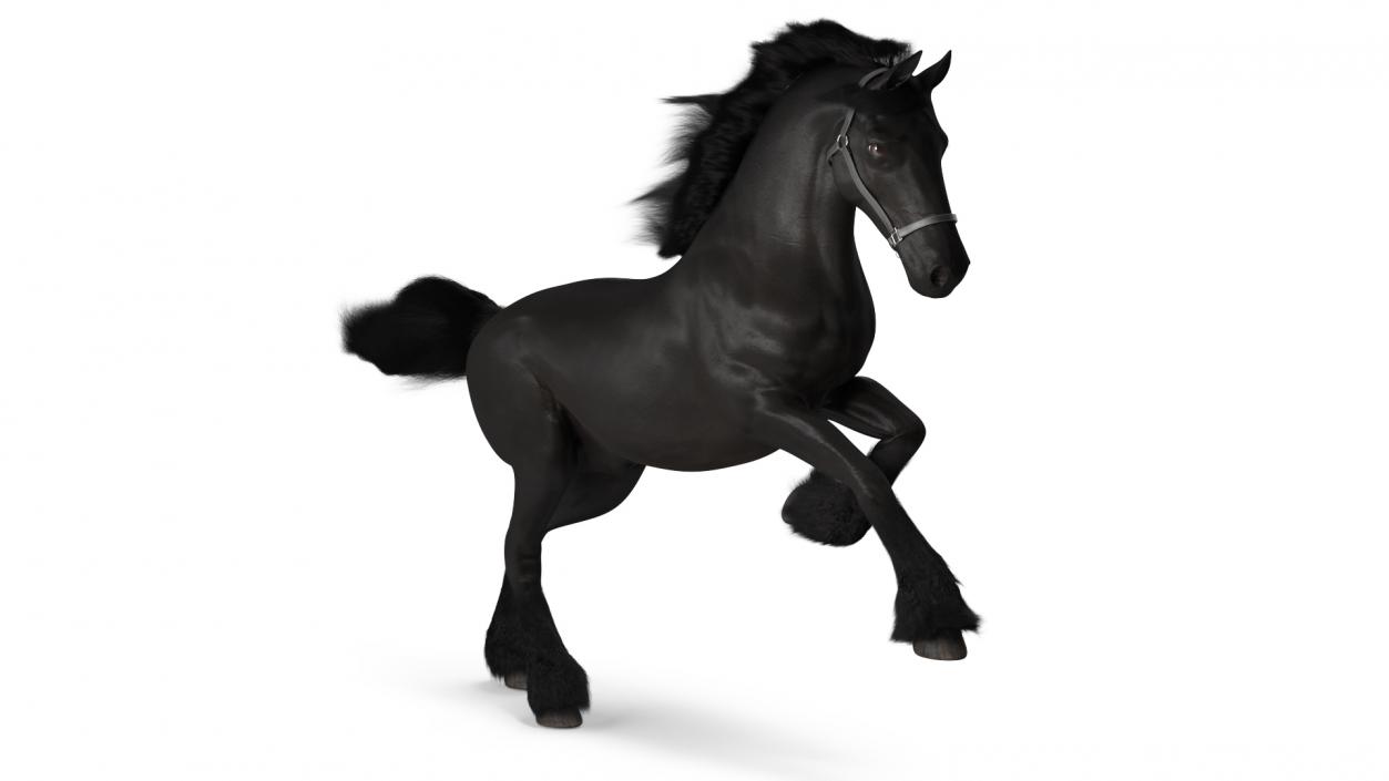 3D Running Friesian Horse Fur