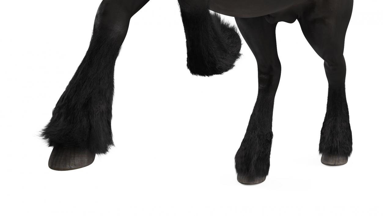 3D Running Friesian Horse Fur