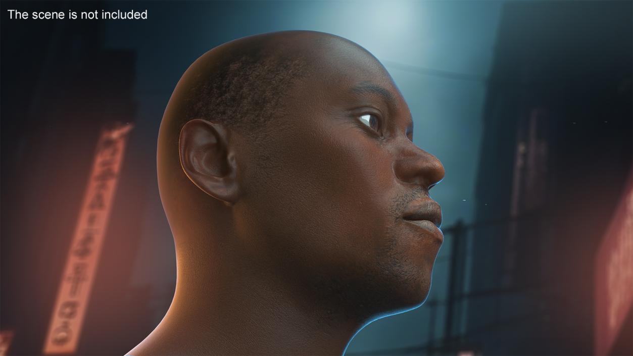 3D model Handsome African American Male Head