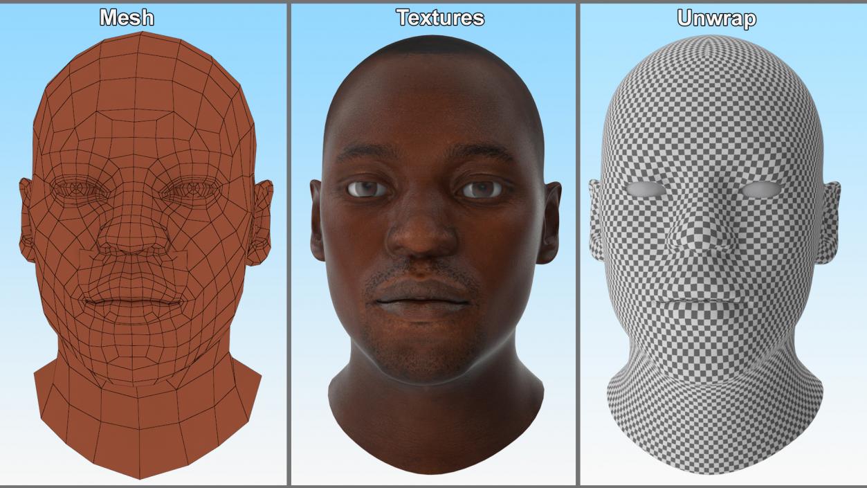 3D model Handsome African American Male Head