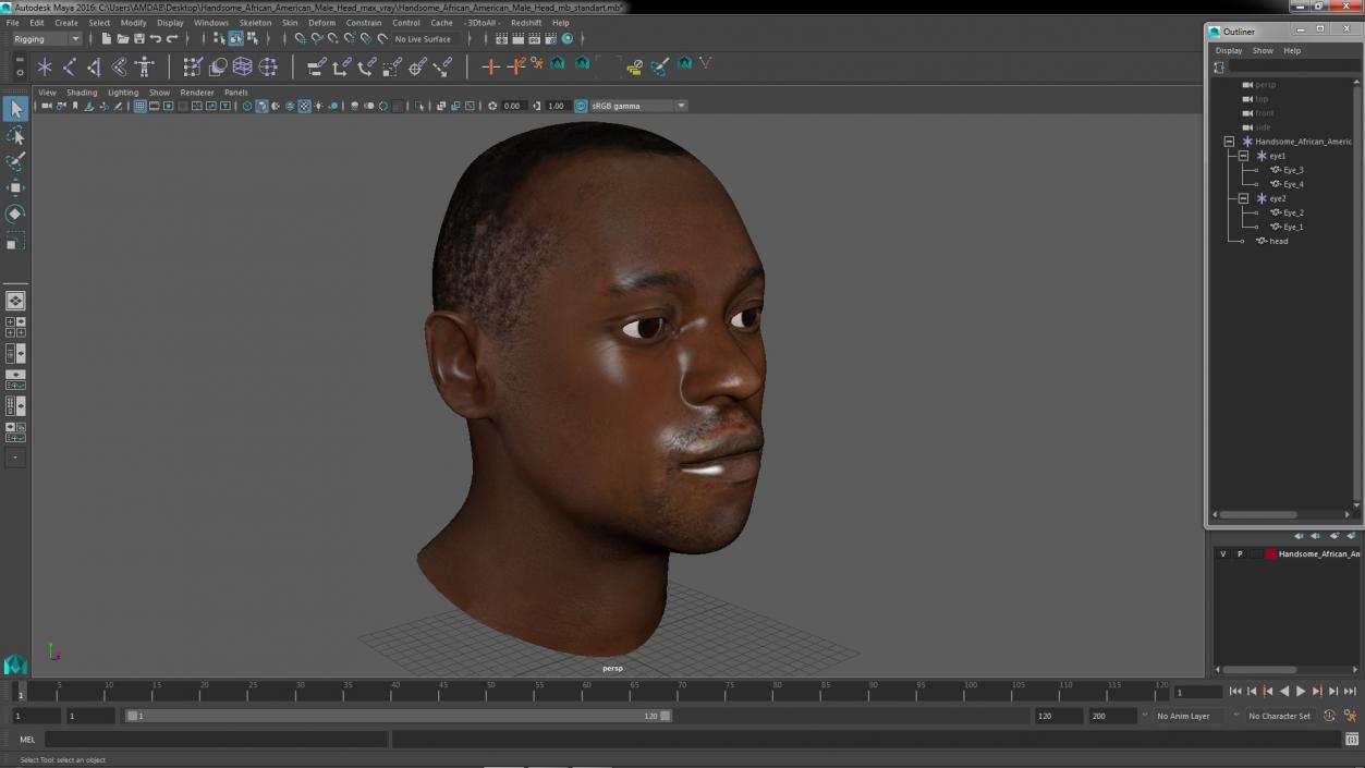 3D model Handsome African American Male Head