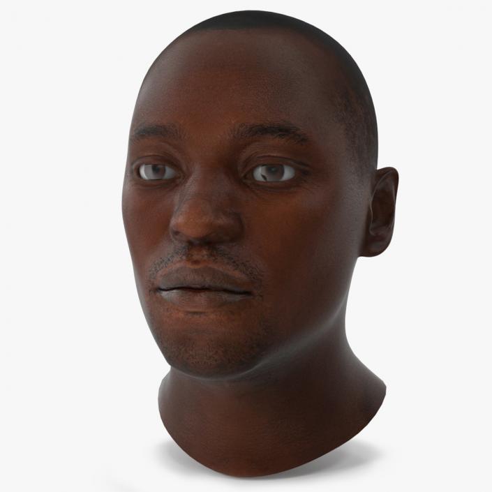 3D model Handsome African American Male Head