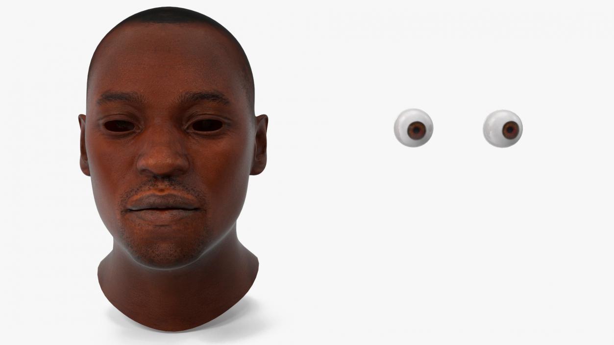 3D model Handsome African American Male Head