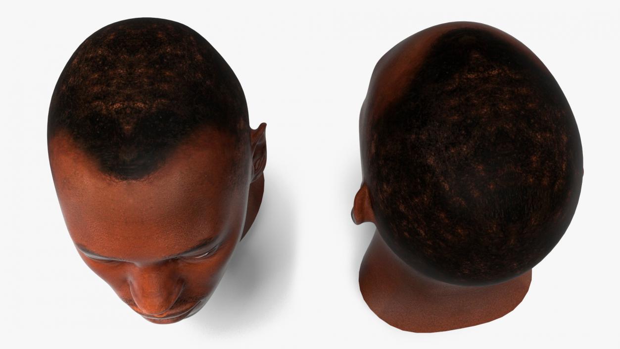 3D model Handsome African American Male Head