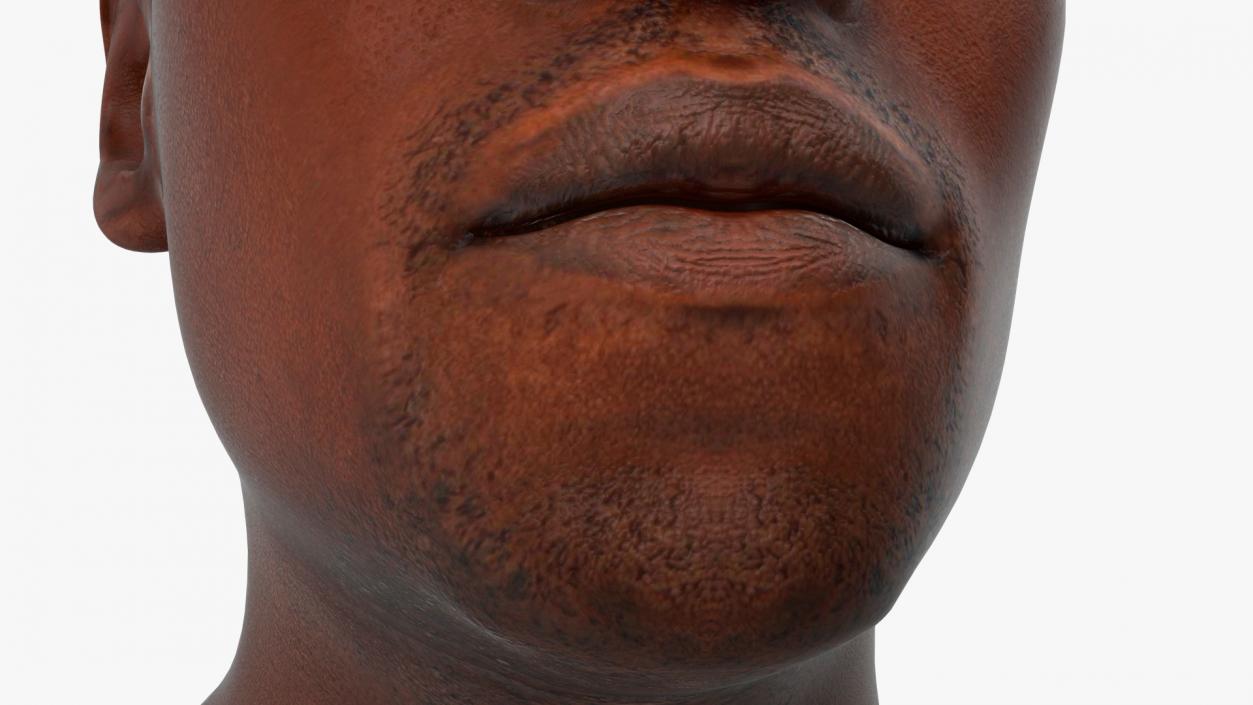 3D model Handsome African American Male Head