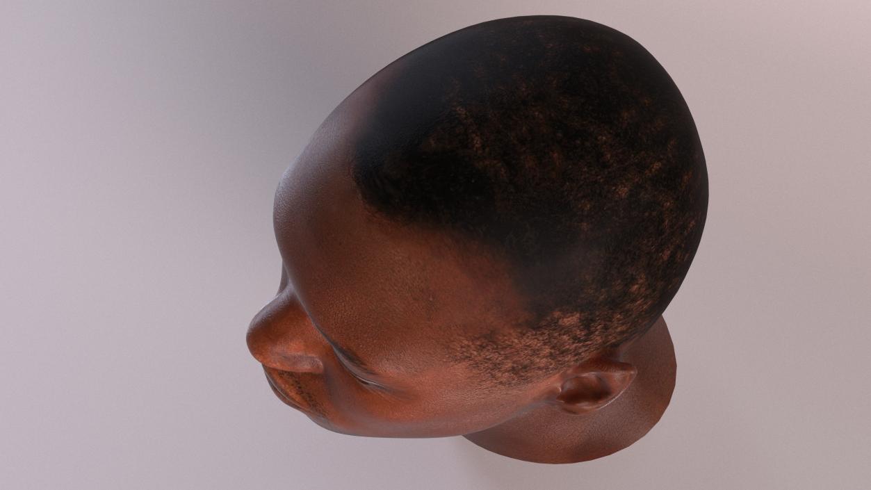 3D model Handsome African American Male Head