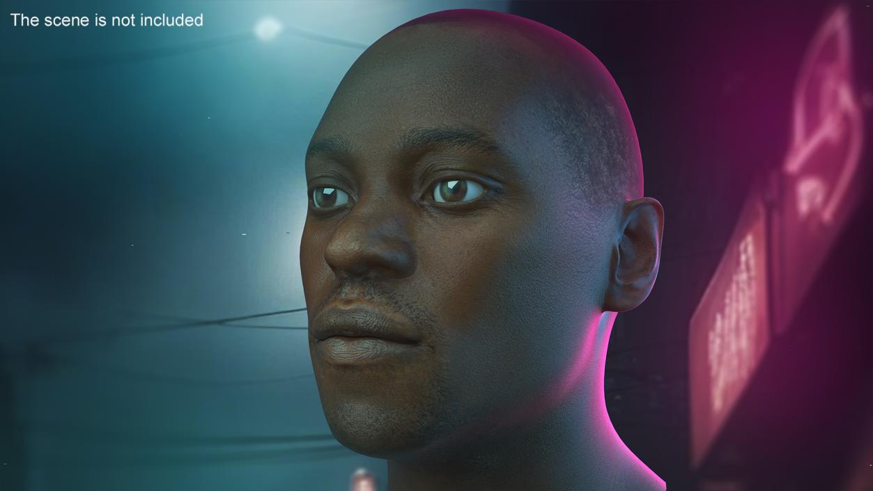 3D model Handsome African American Male Head