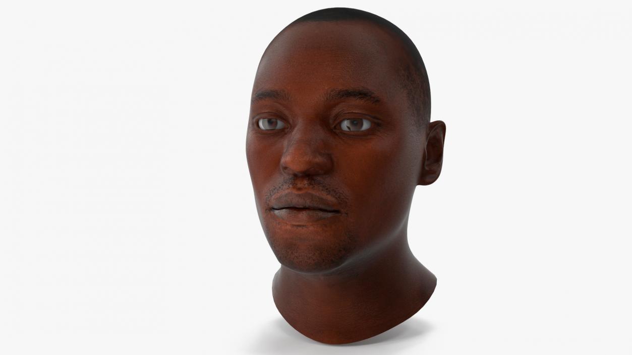 3D model Handsome African American Male Head