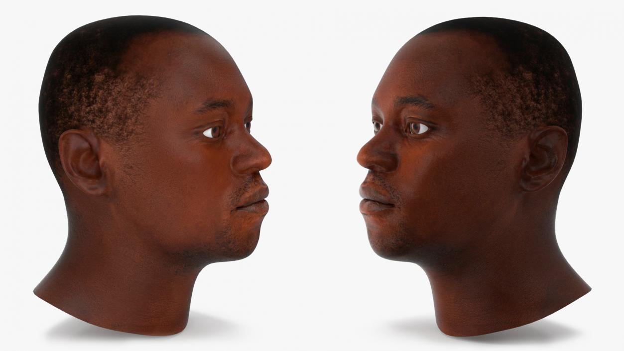 3D model Handsome African American Male Head