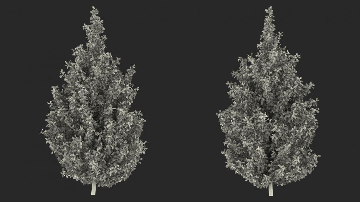 3D Holly Green Tree