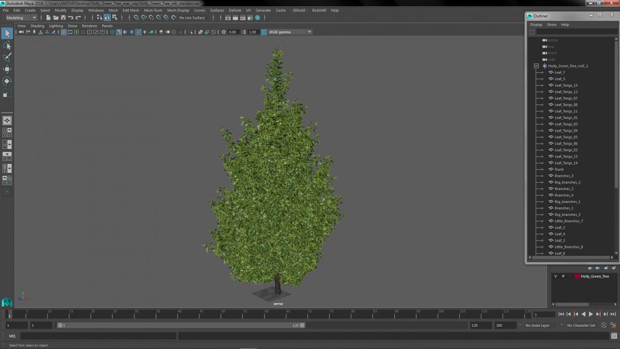 3D Holly Green Tree